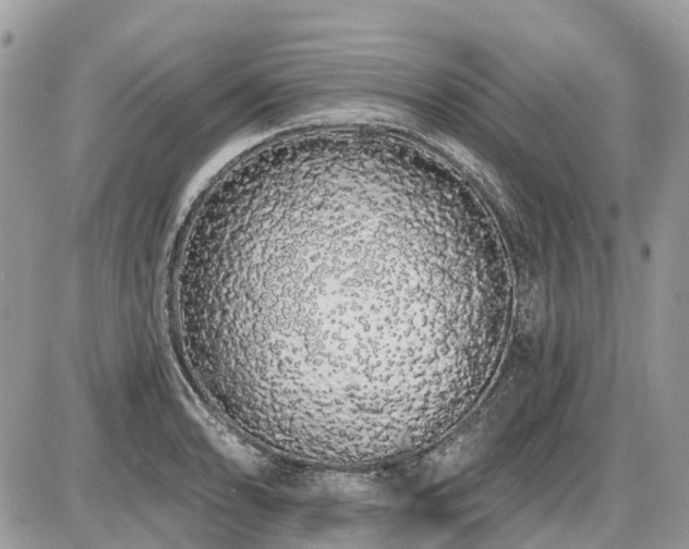X0000086781086200704131208