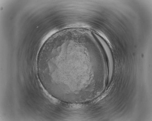 X0000086781087200704131208