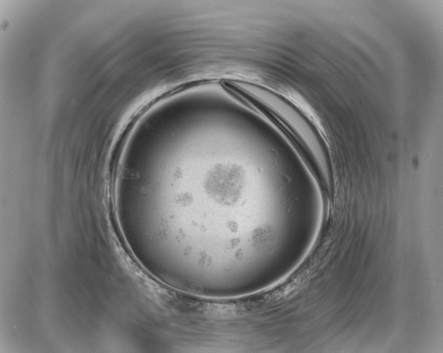 X0000086781088200704131208