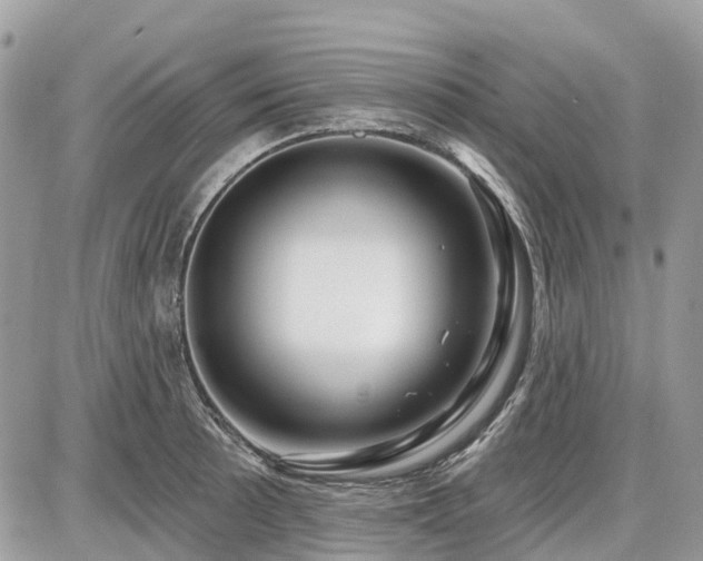 X0000086781089200704131208