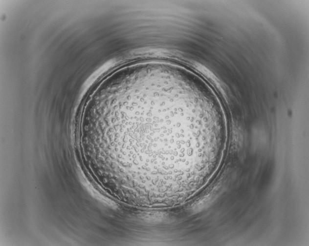 X0000086781090200704131208