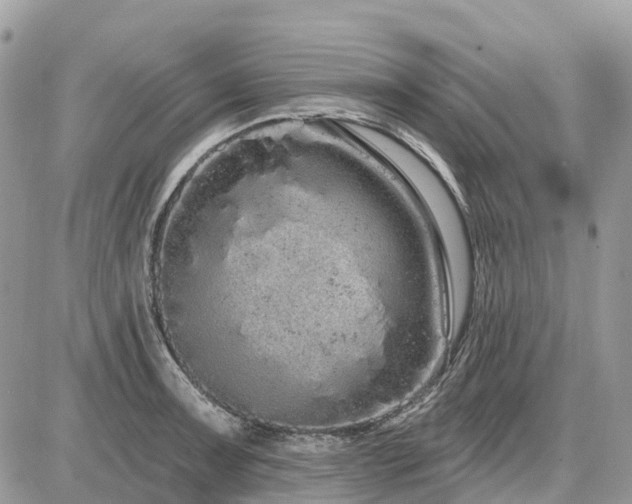 X0000086781091200704131208