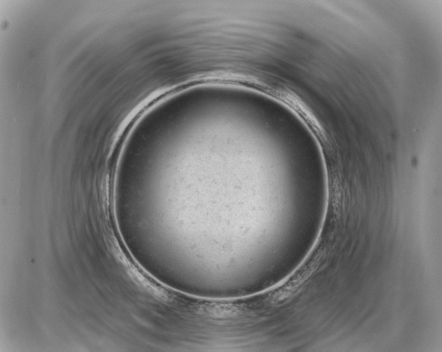 X0000086781092200704131208