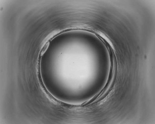 X0000086781093200704131208