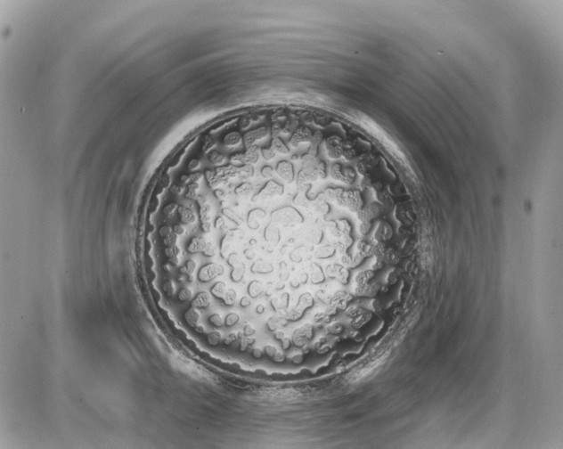 X0000086781094200704131208