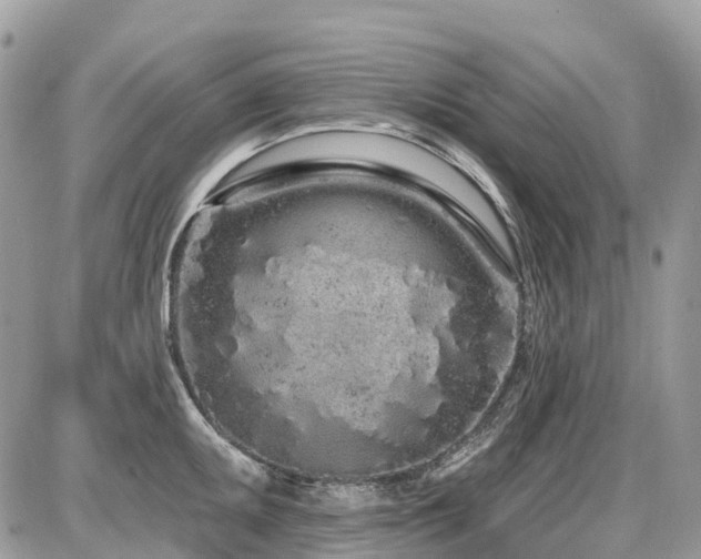 X0000086781095200704131208