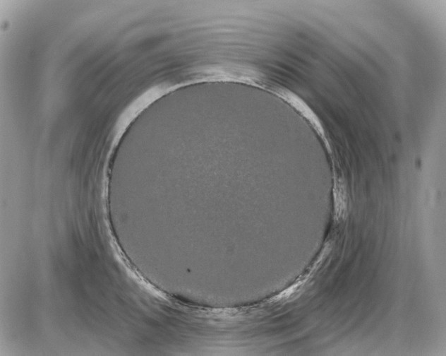 X0000086781096200704131208