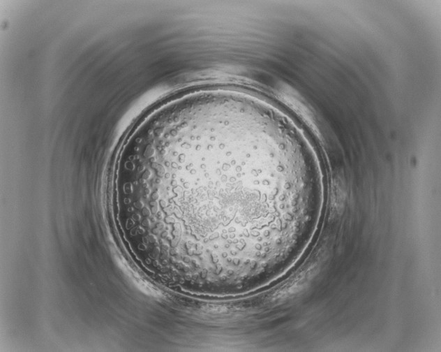 X0000086781098200704131208