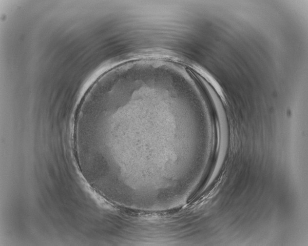 X0000086781099200704131208