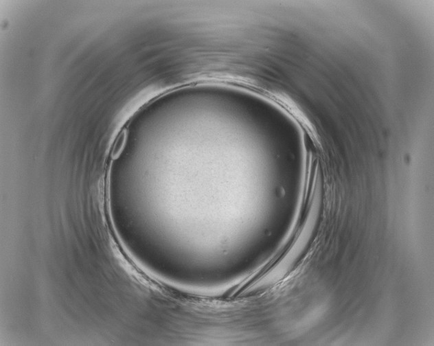 X0000086781100200704131208