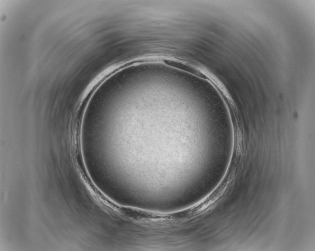 X0000086781101200704131208