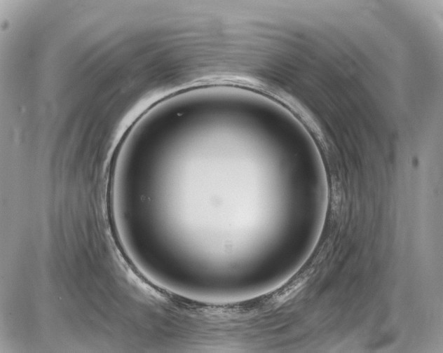 X0000086781102200704131208