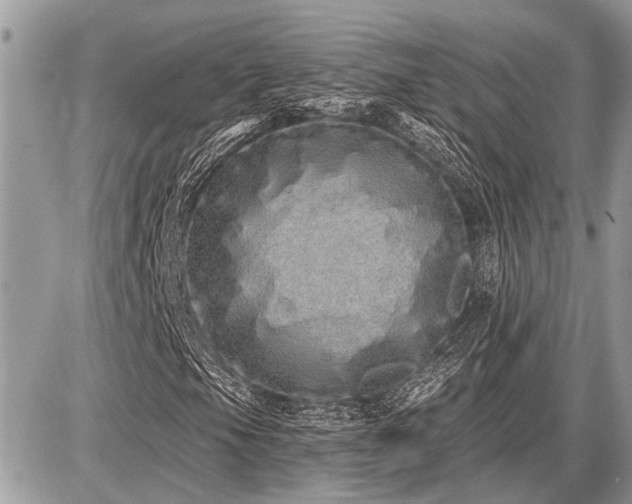 X0000086781105200704131207