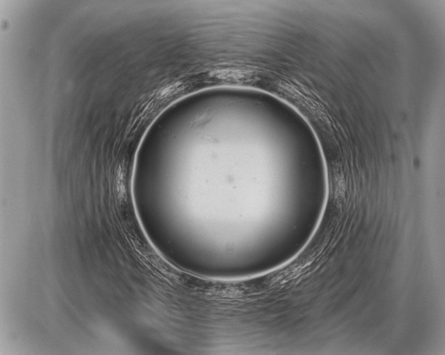 X0000086781106200704131207