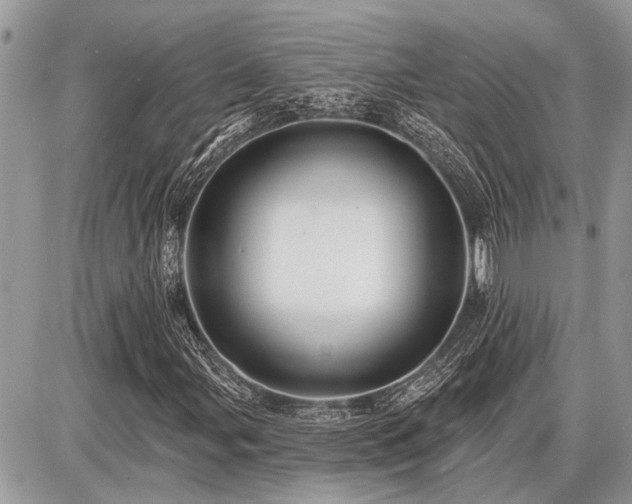 X0000086781107200704131207