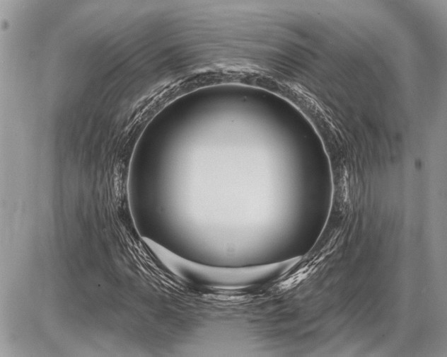 X0000086781110200704131207