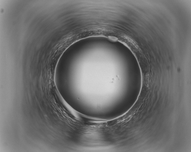 X0000086781111200704131207