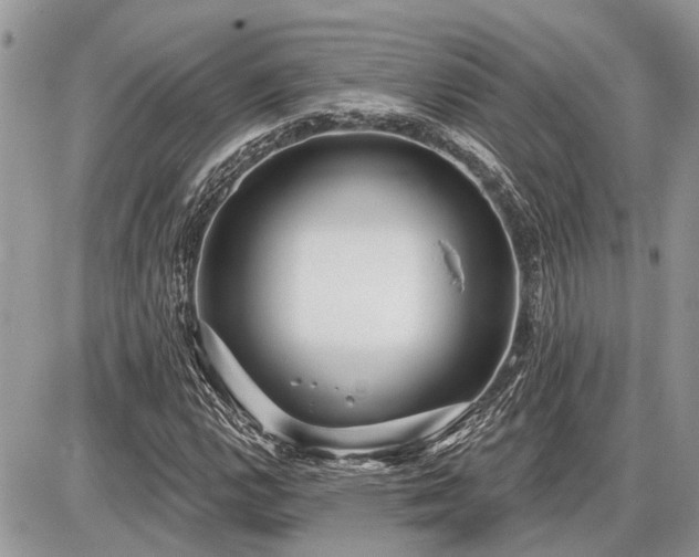 X0000086781112200704131207