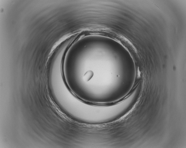 X0000086781114200704131207