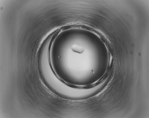 X0000086781118200704131207