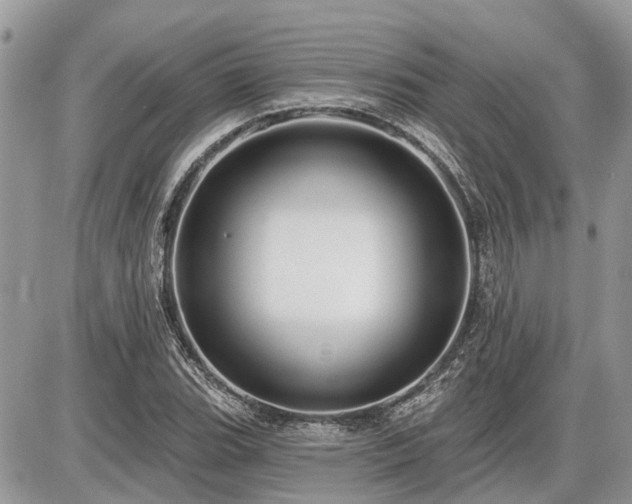 X0000086781119200704131207