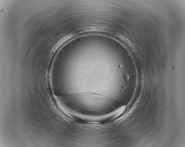 X0000086781121200704131207