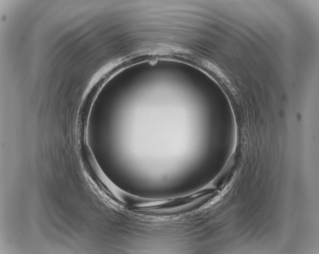 X0000086781122200704131207