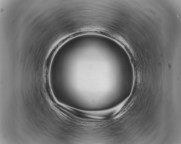 X0000086781124200704131207