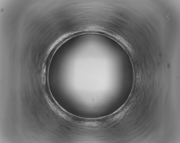 X0000086781126200704131207