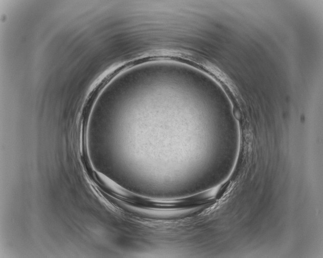 X0000086781127200704131207