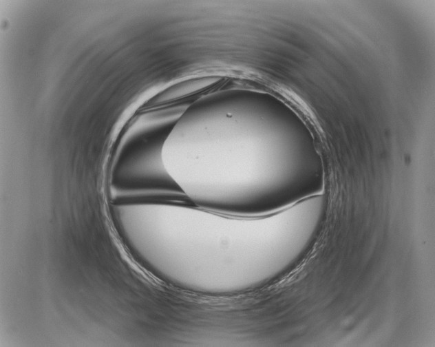 X0000086781128200704131207