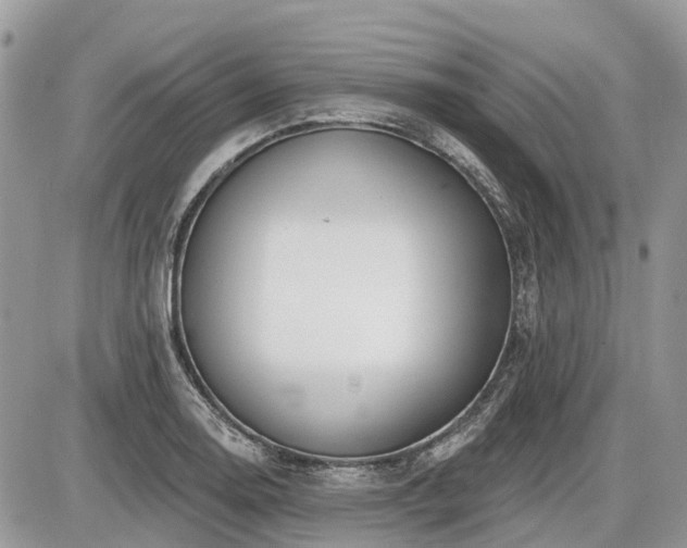 X0000086781130200704131207