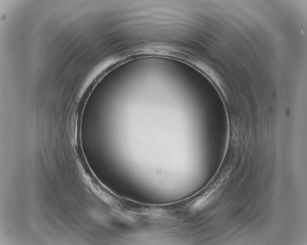 X0000086781131200704131207