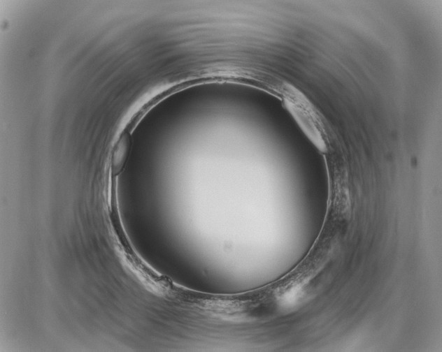 X0000086781132200704131207