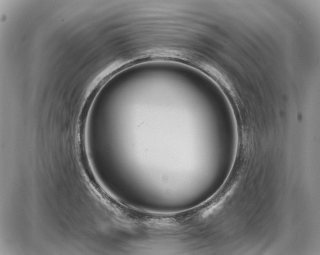 X0000086781133200704131207