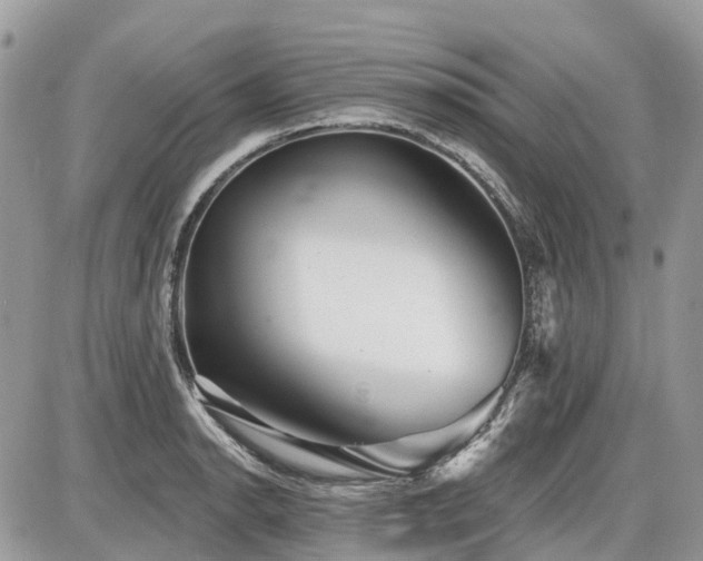 X0000086781134200704131207