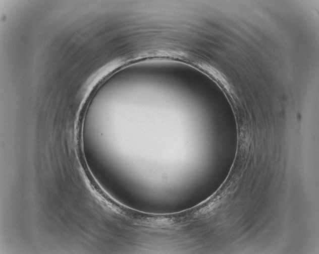 X0000086781135200704131207