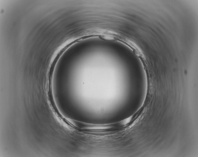 X0000086781136200704131207