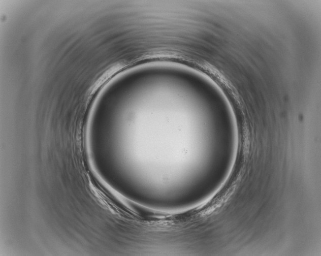 X0000086781137200704131207