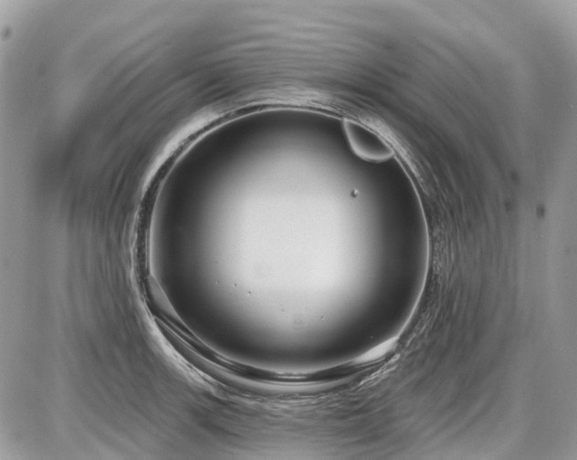 X0000086781139200704131208