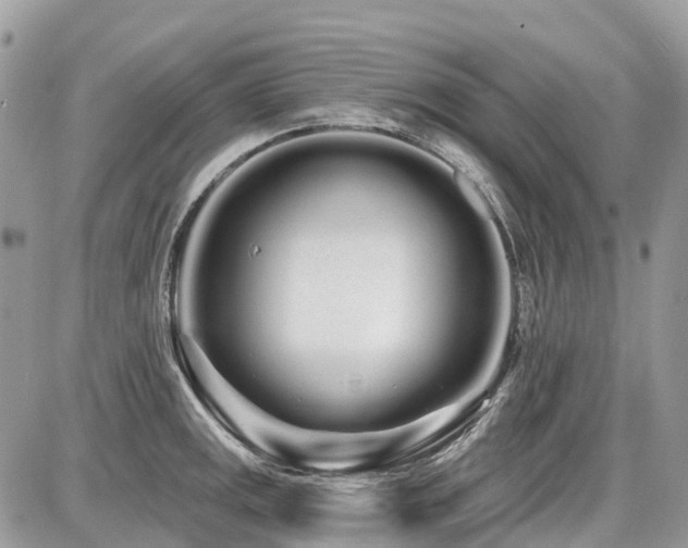 X0000086781141200704131208