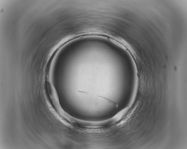 X0000086781142200704131208