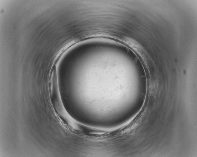 X0000086781145200704131208