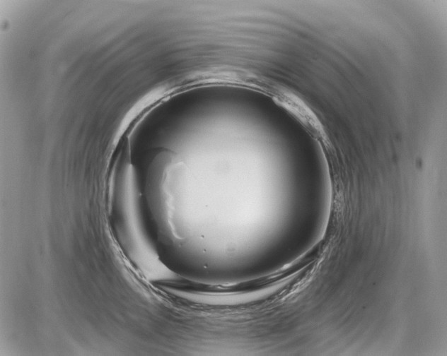 X0000086781146200704131208