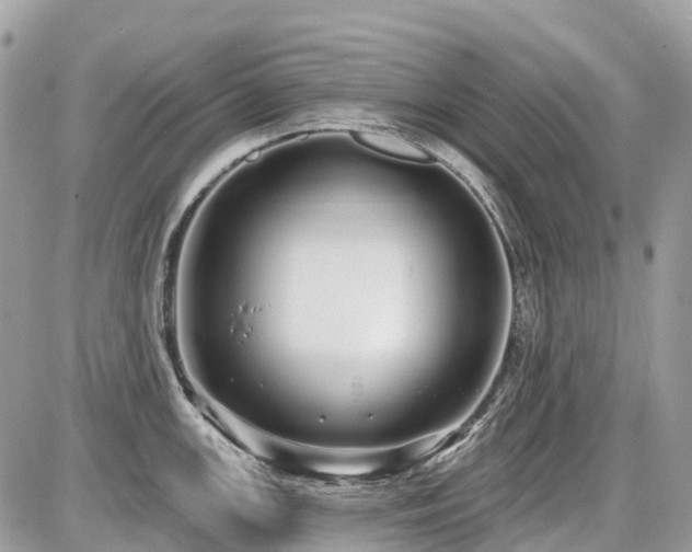 X0000086781147200704131208