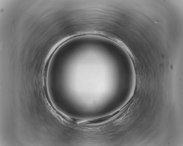 X0000086781148200704131208