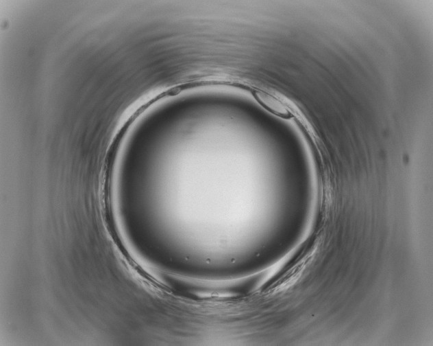 X0000086781149200704131208