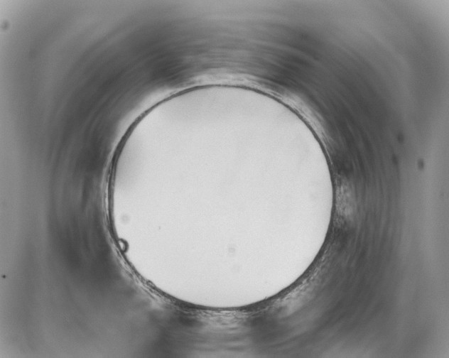 X0000086781150200704131208