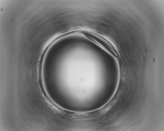 X0000086781151200704131208