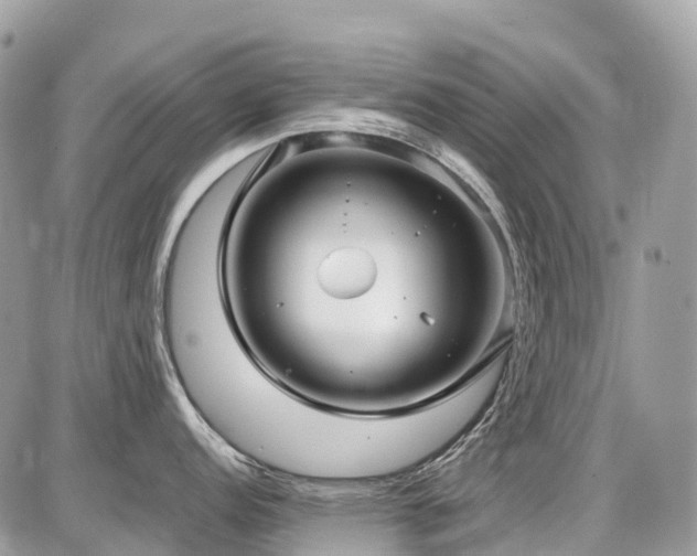 X0000086781152200704131208